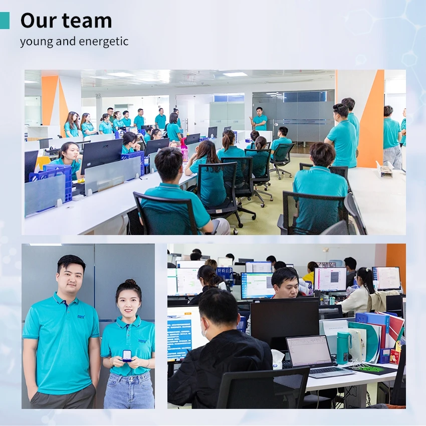 our team our team