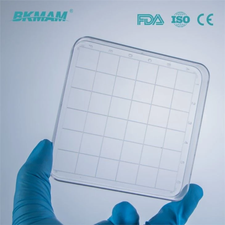 90mm/100mm/120mm/150mm High Transparent PS Sterile Petri Dishes